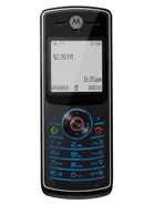 Motorola W160