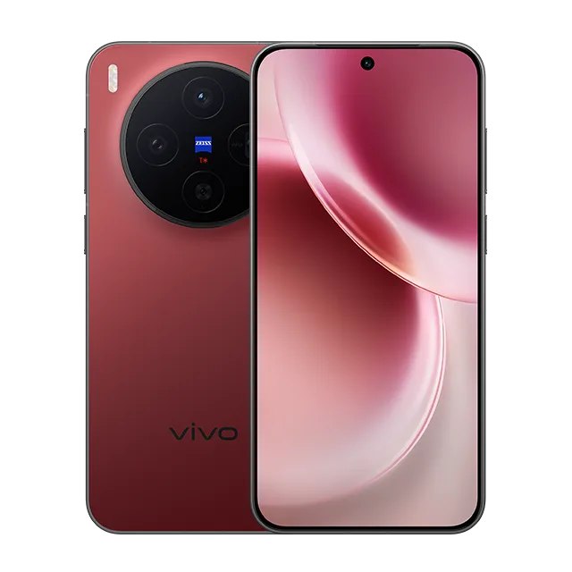 vivo X300
