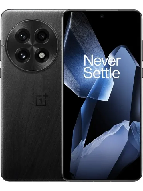 OnePlus 13